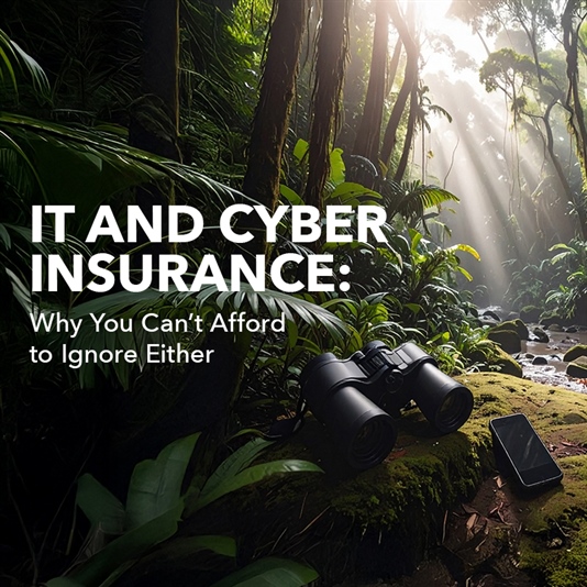 Cyber Insurance and IT Support: Your Business Needs Both (Like Wi-Fi and Coffee)