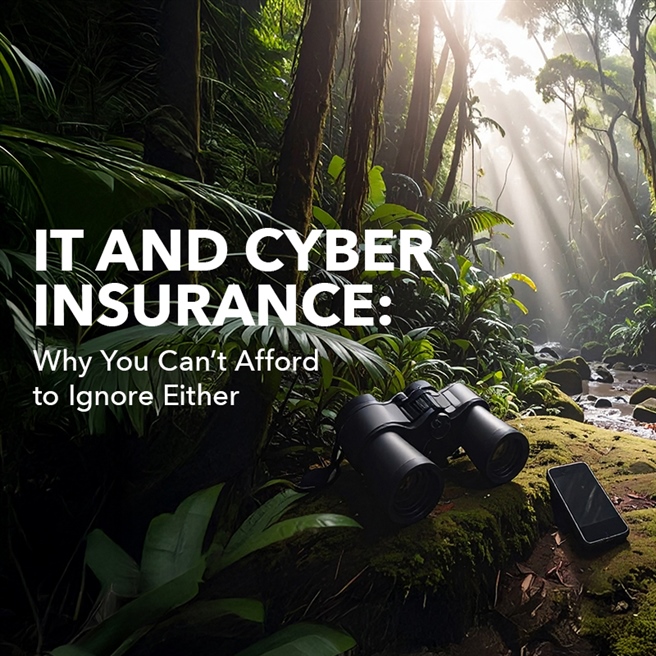 Cyber Insurance and IT Support: Your Business Needs Both (Like Wi-Fi and Coffee)