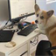 IT Security Tip: Working from home? DON’T DO THIS!